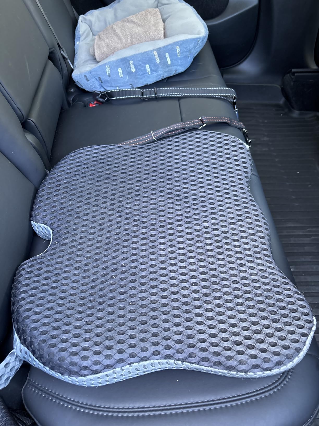 Wedge Car Seat Cushion for Better Visibility & Sciatica Pain Relief customer photo 2
