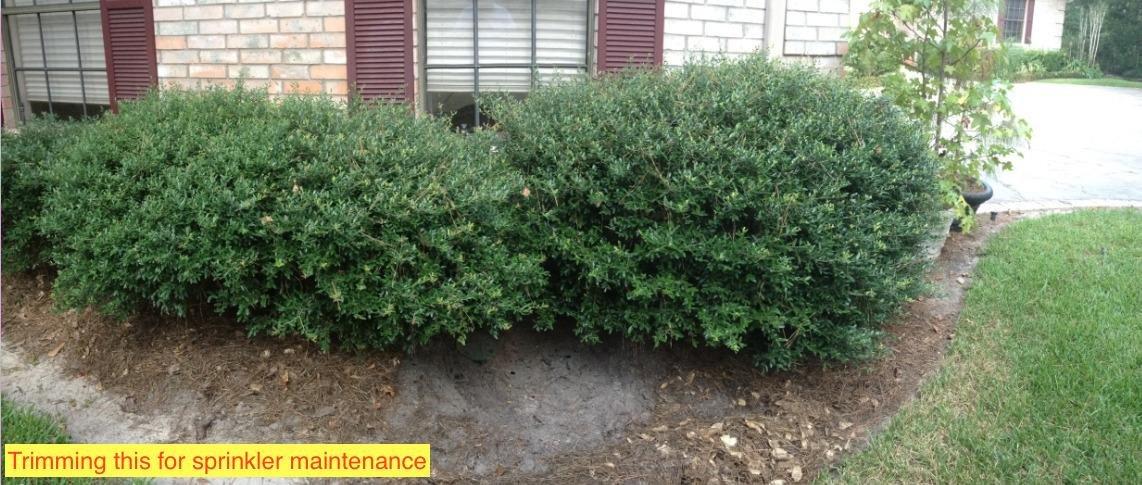 BLACK+DECKER 20V MAX Pole Hedge Trimmer Cordless with Battery and Charger, 18-Inch Dual Action Blade Power Hedge Trimmer, Extended Long Reach Hedger Up to 11 Ft, 180 Degrees Pivoting Head (LPHT120) customer photo 2