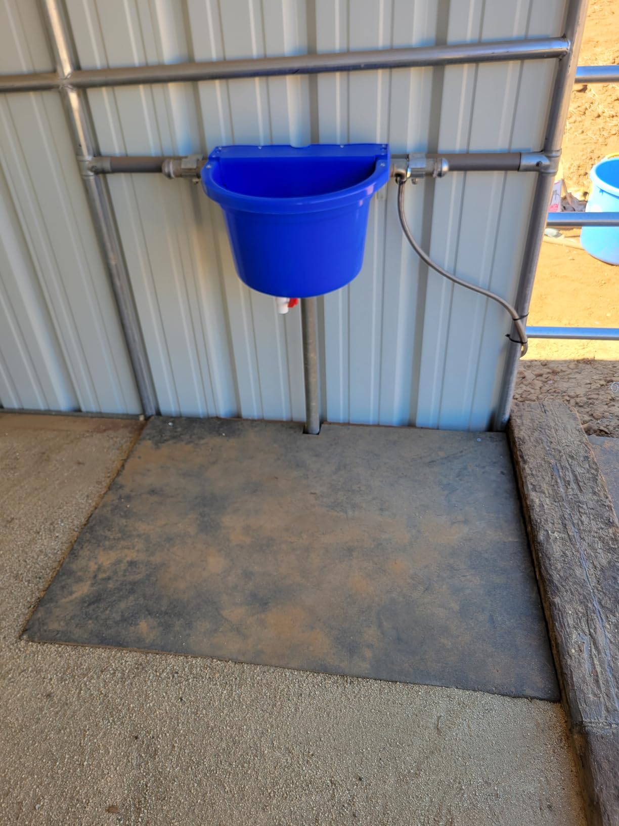 Little Giant DuraMate Automatic Animal Waterer | Float Controlled Automatic Waterer for Livestock | Heavy Duty and Durable | Made in USA | 4 Gallon customer photo 1