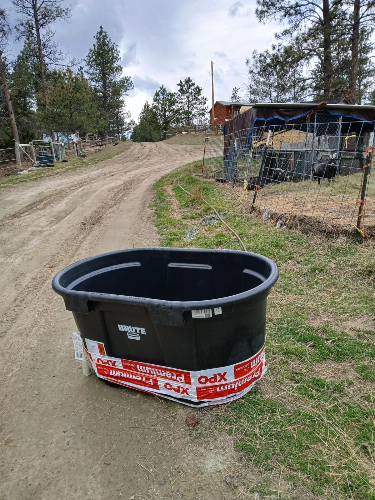 Rubbermaid Commercial Products Stock Tank 100-Gallons Structural Foam Heavy Duty Container for Livestock/Animal/Cattle Feed & Water Outdoor Homemade Pool/Hot Tub/Bathtub & Pet Cleaning/Dog Wash customer photo 2