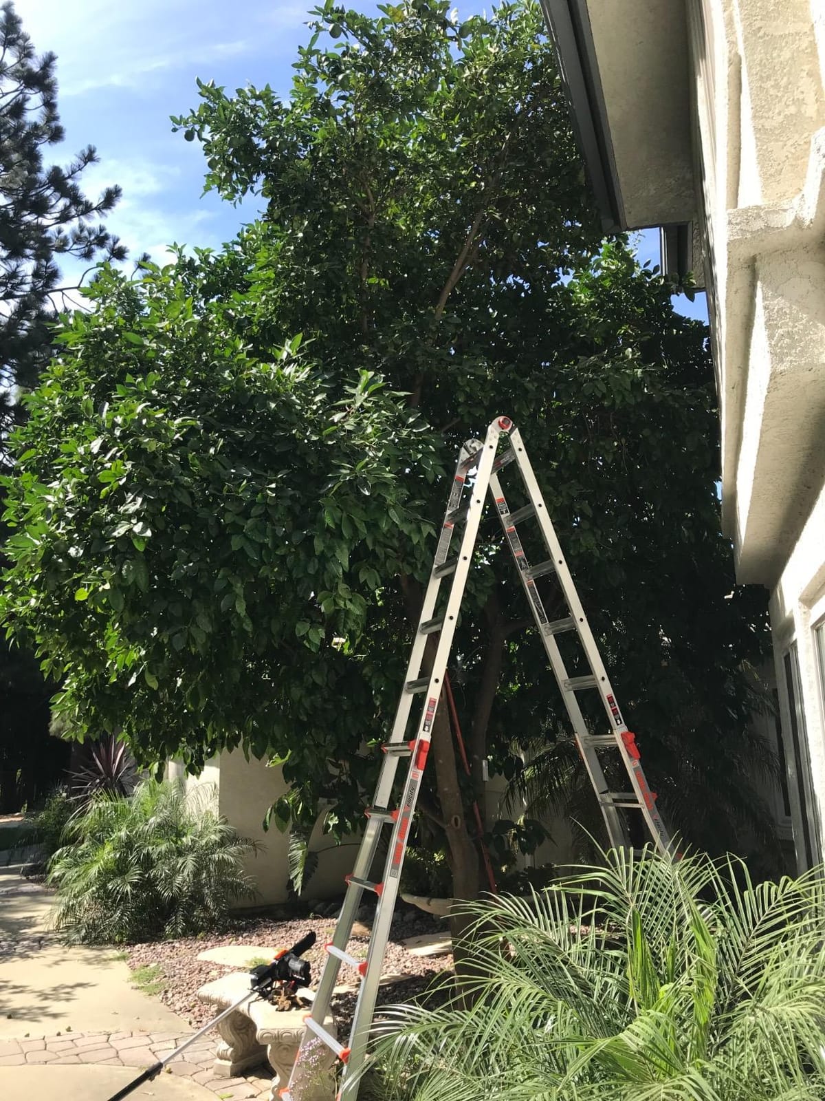 Little Giant Velocity, Aluminum Ladder, 14 ft Reach, 15413-001 | Telescoping Multi-Position Ladder with Extension, A-Frame, 90-Degree & Trestle Modes, 300 lbs. Rating customer photo 1