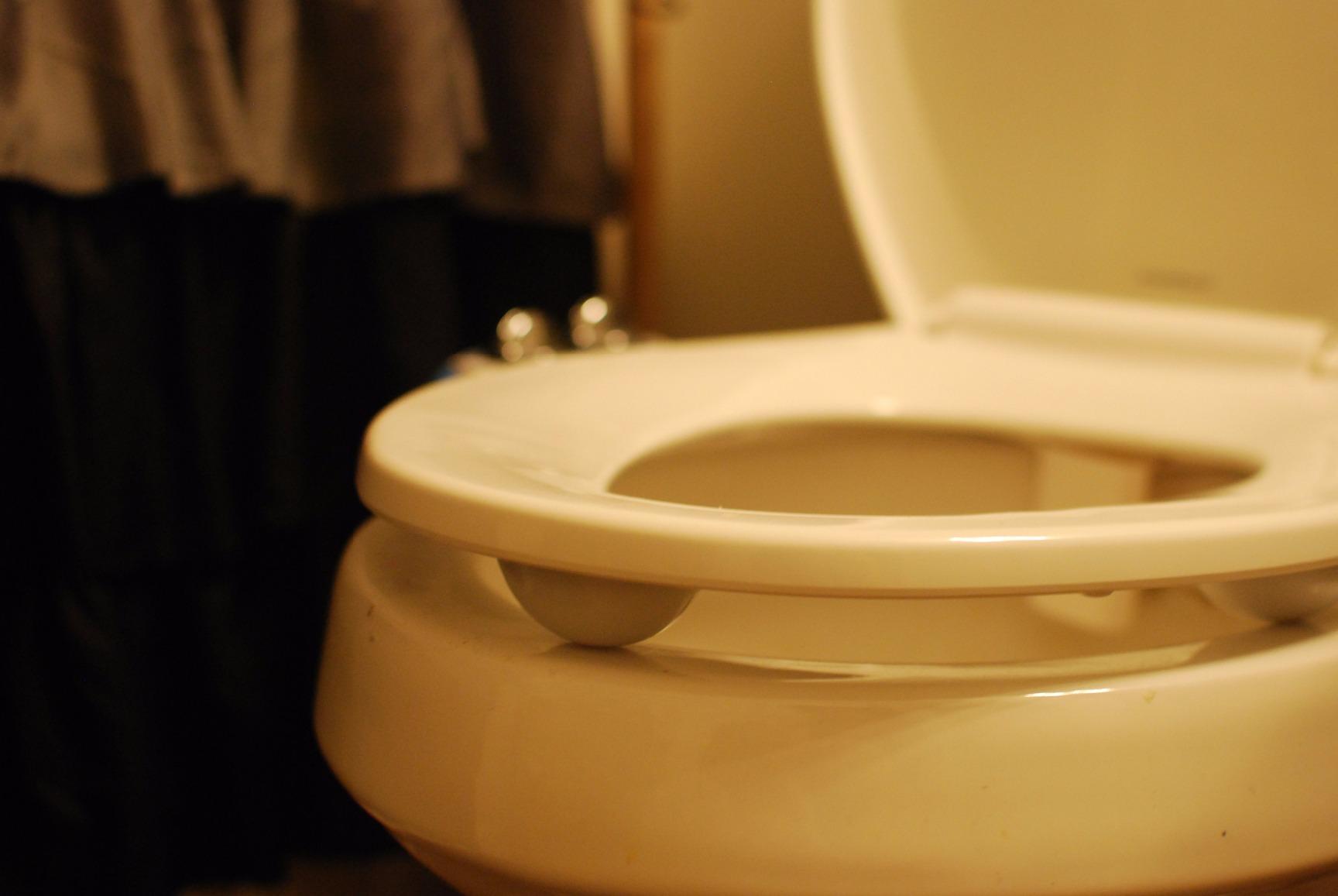 LUXE Bidet NEO 120 - Bidet Attachment for Toilet Seat, White customer photo 2