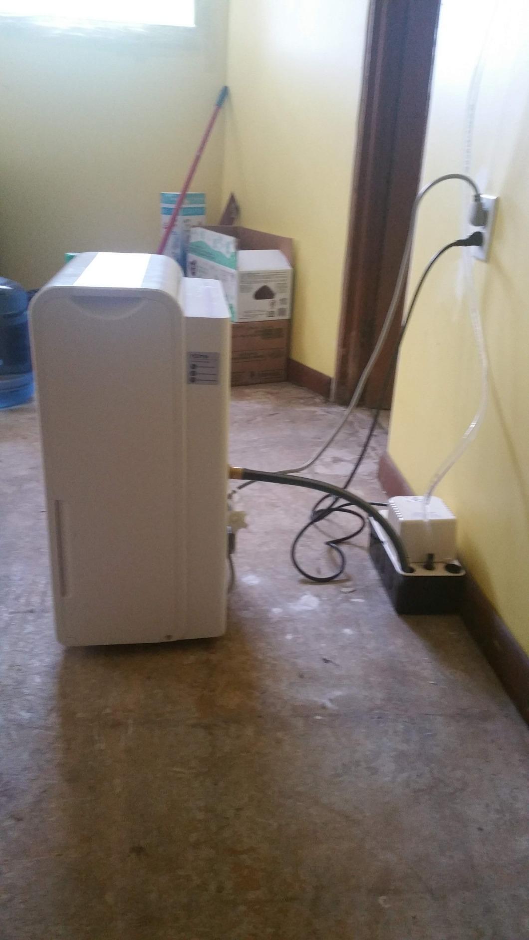 hOmeLabs Dehumidifier 7,000 Sq Ft 50 Pint (MAX 120 Pint at 95°F, 90% RH) customer photo 1