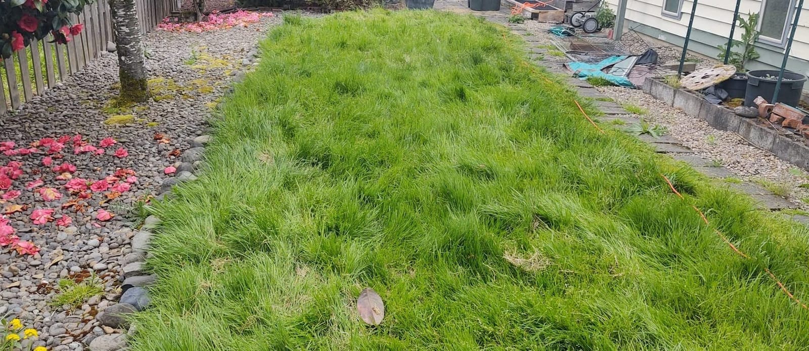 BLACK+DECKER Electric Lawn Mower, Weed Eater and Edger 3-in-1 Combo, Corded 12-Inch 6.5 Amp Electric Weed Wacker and Compact Push Mower (BESTA512CM) customer photo 1