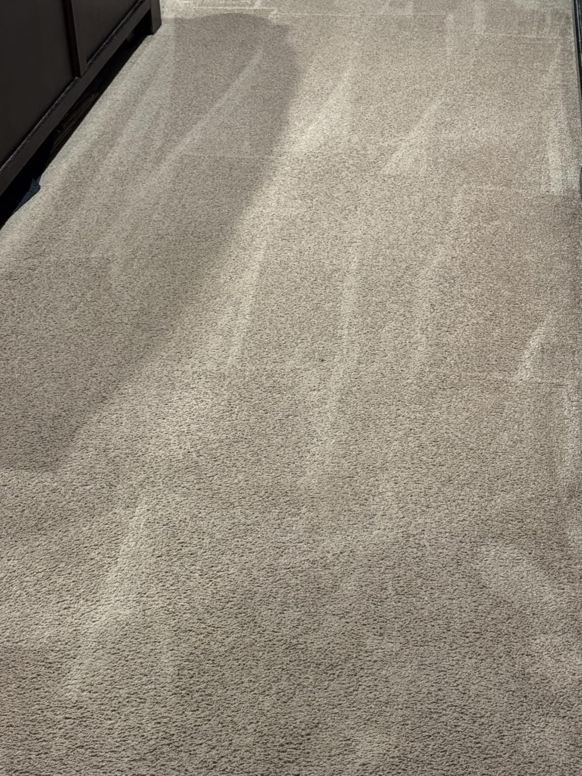 Hoover PowerDash Pet Compact Carpet Cleaner Machine, Lightweight Design customer photo 1