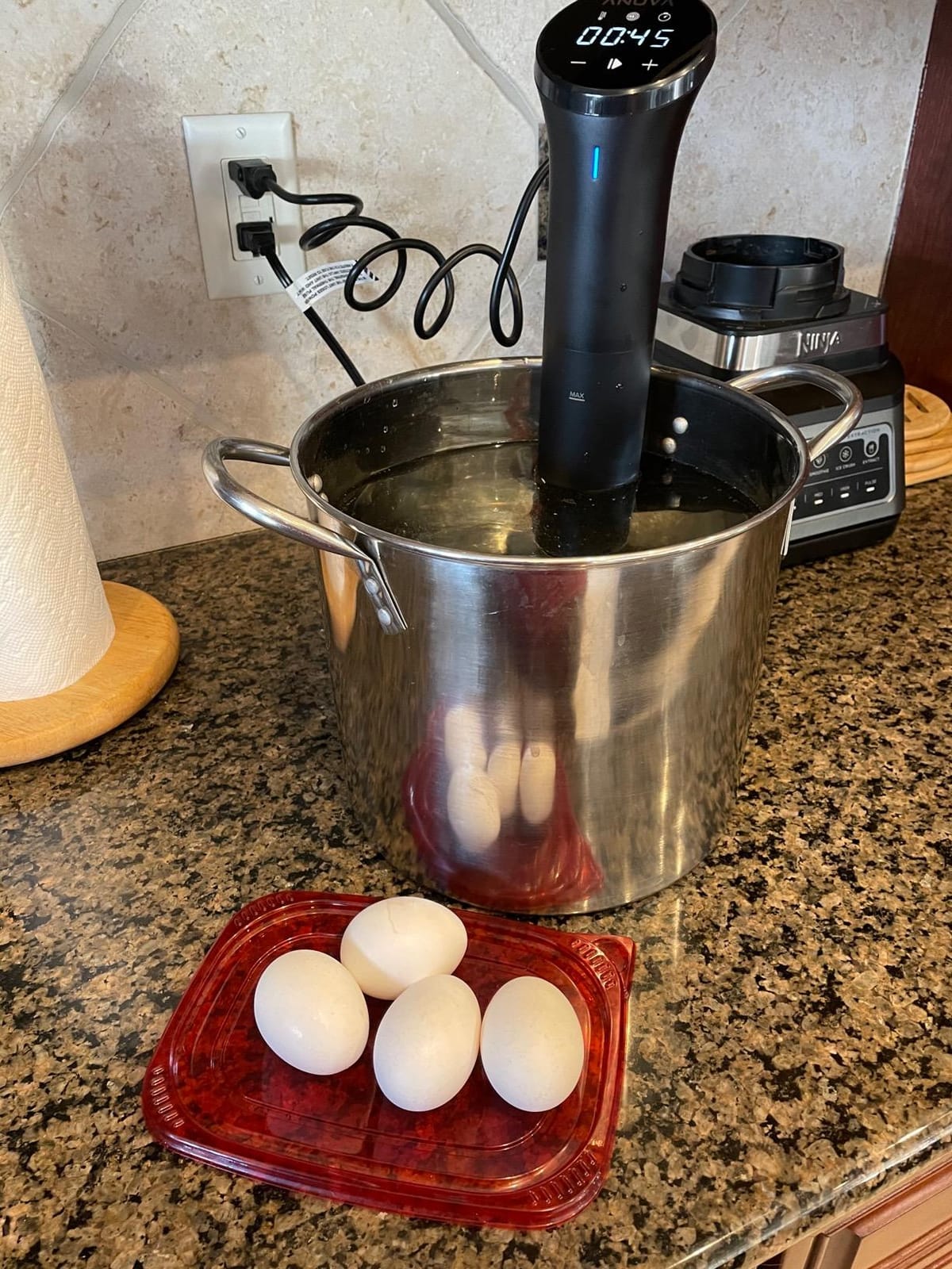 Anova Culinary Sous Vide Precision Cooker Nano 2.0 customer photo 2