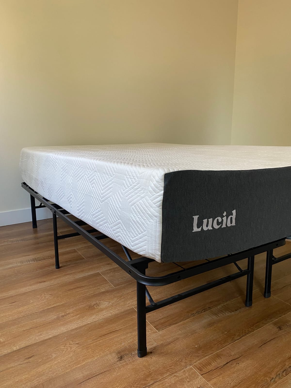 Lucid® 12