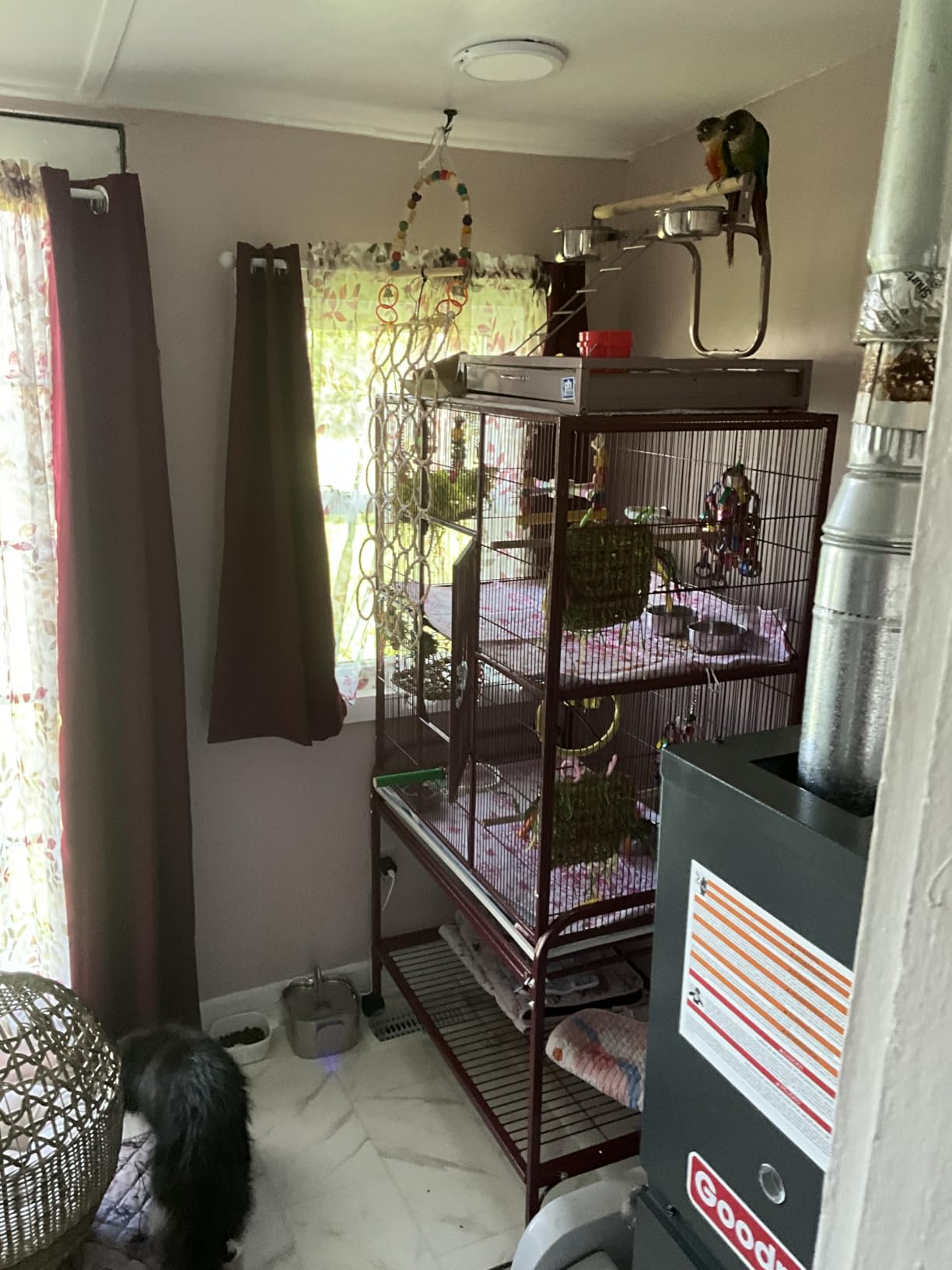 ChrisDowa Blackout Curtains for Bedroom and Living Room 63 Inches Long customer photo 2