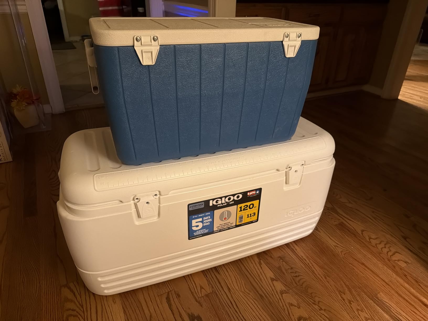 Igloo Hard Cooler | Polar & Party Bar Series | Insulated Ice Chests customer photo 2