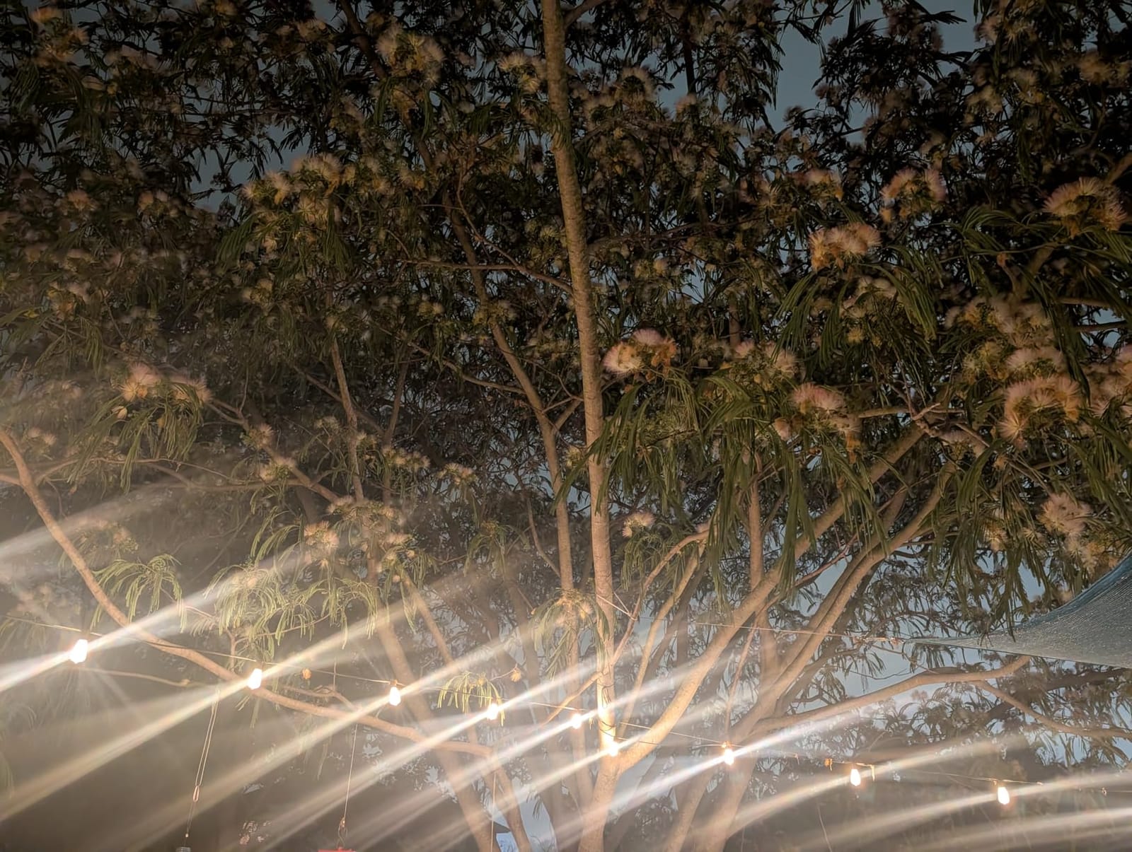 Brightever 100FT Outdoor String Lights 52 Bulbs, Waterproof Patio Lights customer photo 2