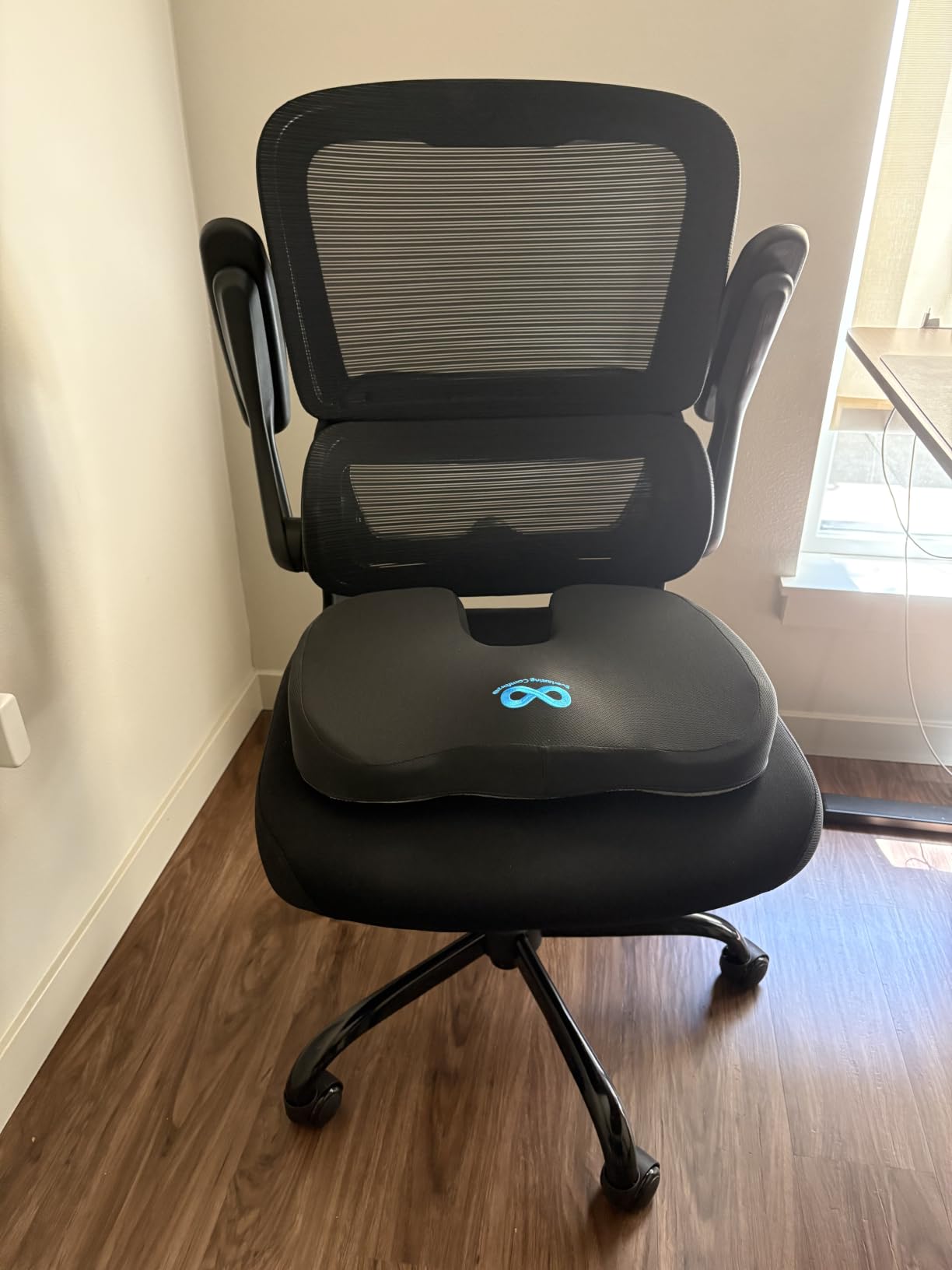 TRALT Office Chair - Ergonomic Desk Chair with Adjustable Lumbar Support, Mesh Computer Chair, Executive Chairs for Home Office Comfortable Lumbar Support (Black) customer photo 1