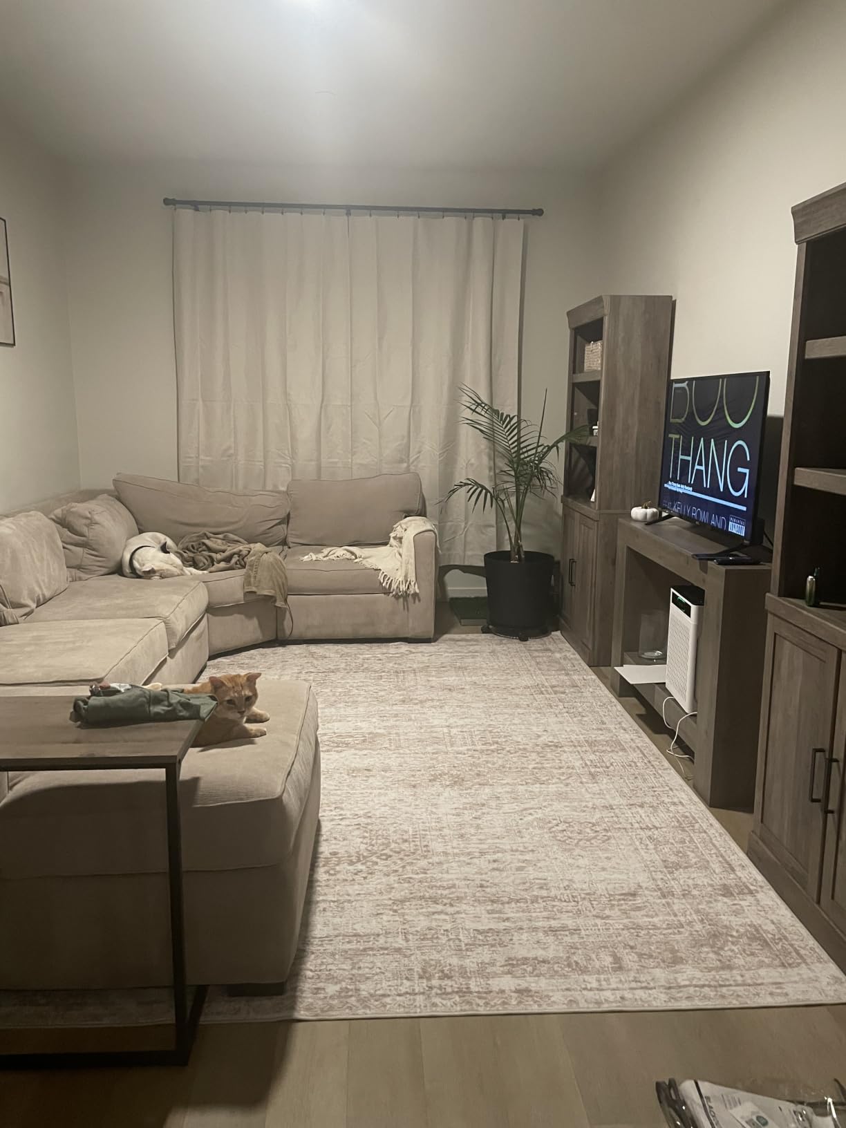 Soalmost Washable Area Rug 8x10 Large Soft Beige Rugs for Living Room customer photo 2
