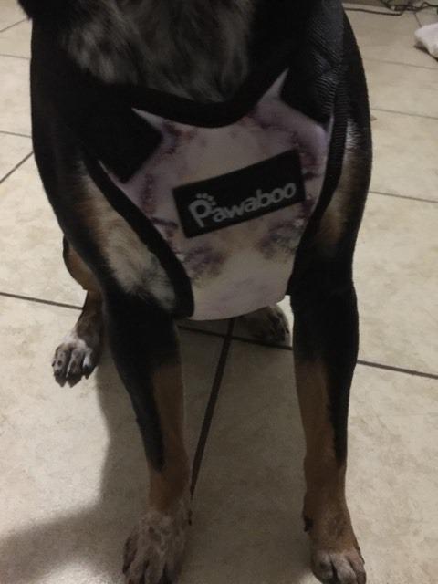 Pawaboo 74