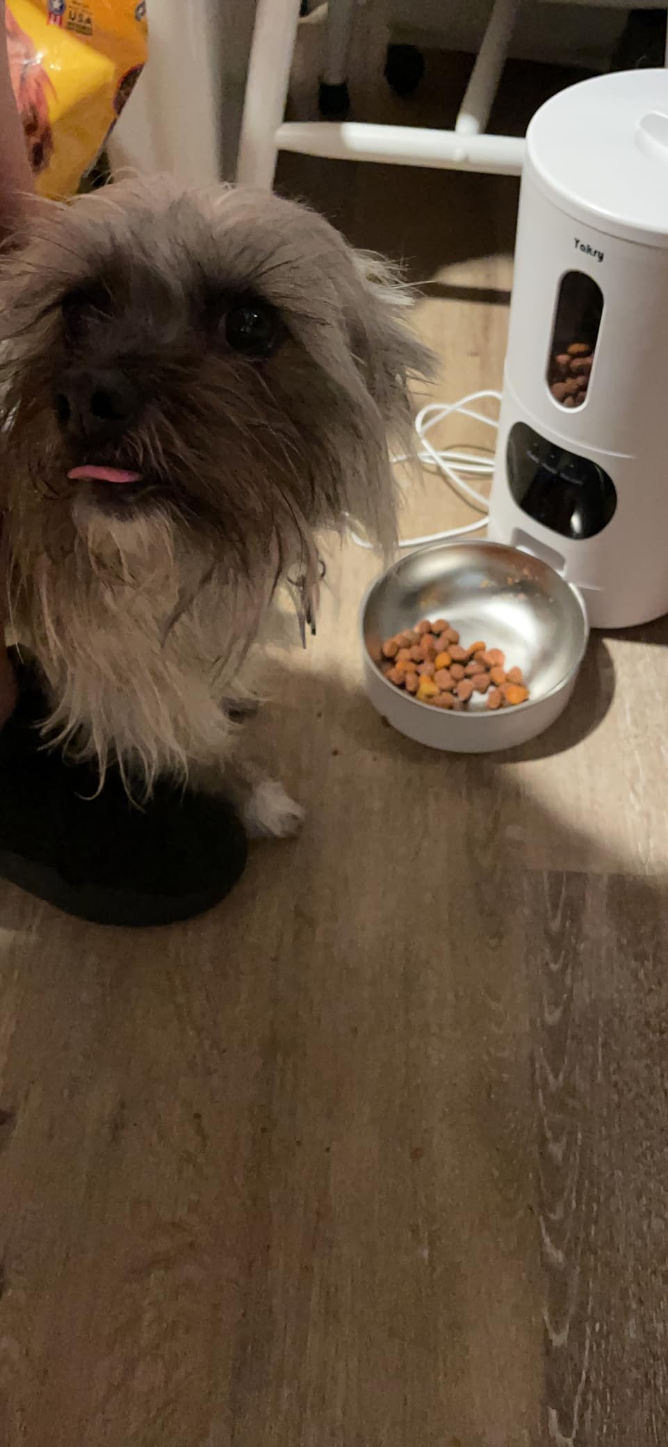 Automatic Dog Feeder Large Breed: 12L/50 Cup Capacity for Kibble up to 20mm customer photo 2