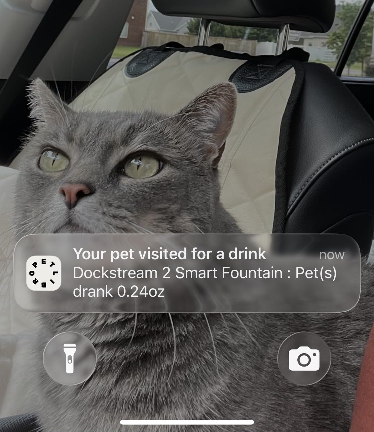 PETLIBRO Upgrade Cat Water Fountain Stainless Steel Tray, Dockstream 2 Cat Fountain Indoor, 3L/101oz Auto Cat Fountains for Drinking, App Monitoring Pet Water Fountain Dog, 5G WiFi Cat Water Dispenser customer photo 2