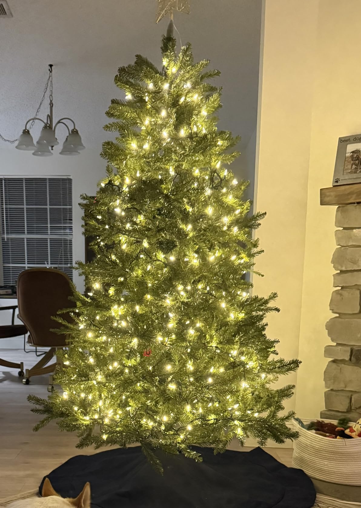7FT Unlit Christmas Tree Green, Dunhill Fir Artificial Tree with 2144 PVC Branch Tips, Realistic Full Shape, Foldable Metal Stand for Indoor Home, Office & Holiday Decoration customer photo 1