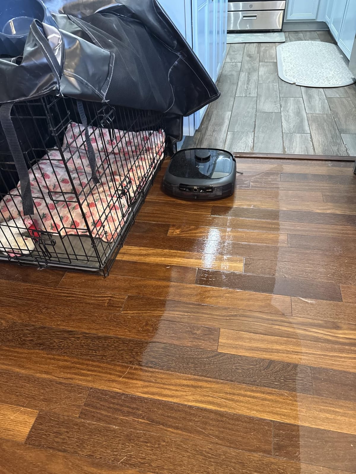 eufy E25 Robot Vacuum and Mop Combo, 20,000 Pa, HydroJet Roller Mop | Extendable Side Brush, Zero-Tangle Design, All-in-One Station, AI Obstacle Avoidance, Edge-to-Corner Cleaning customer photo 2