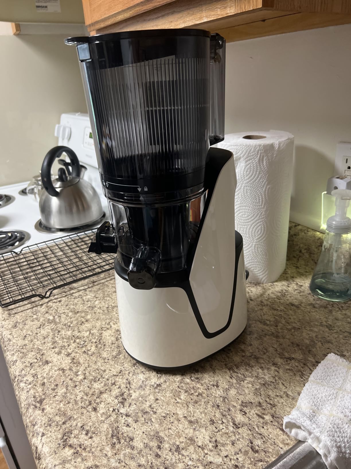 EanOruus Juicer Machines, 3-in-1 Cold Press Juicer, Premium Gray customer photo 1