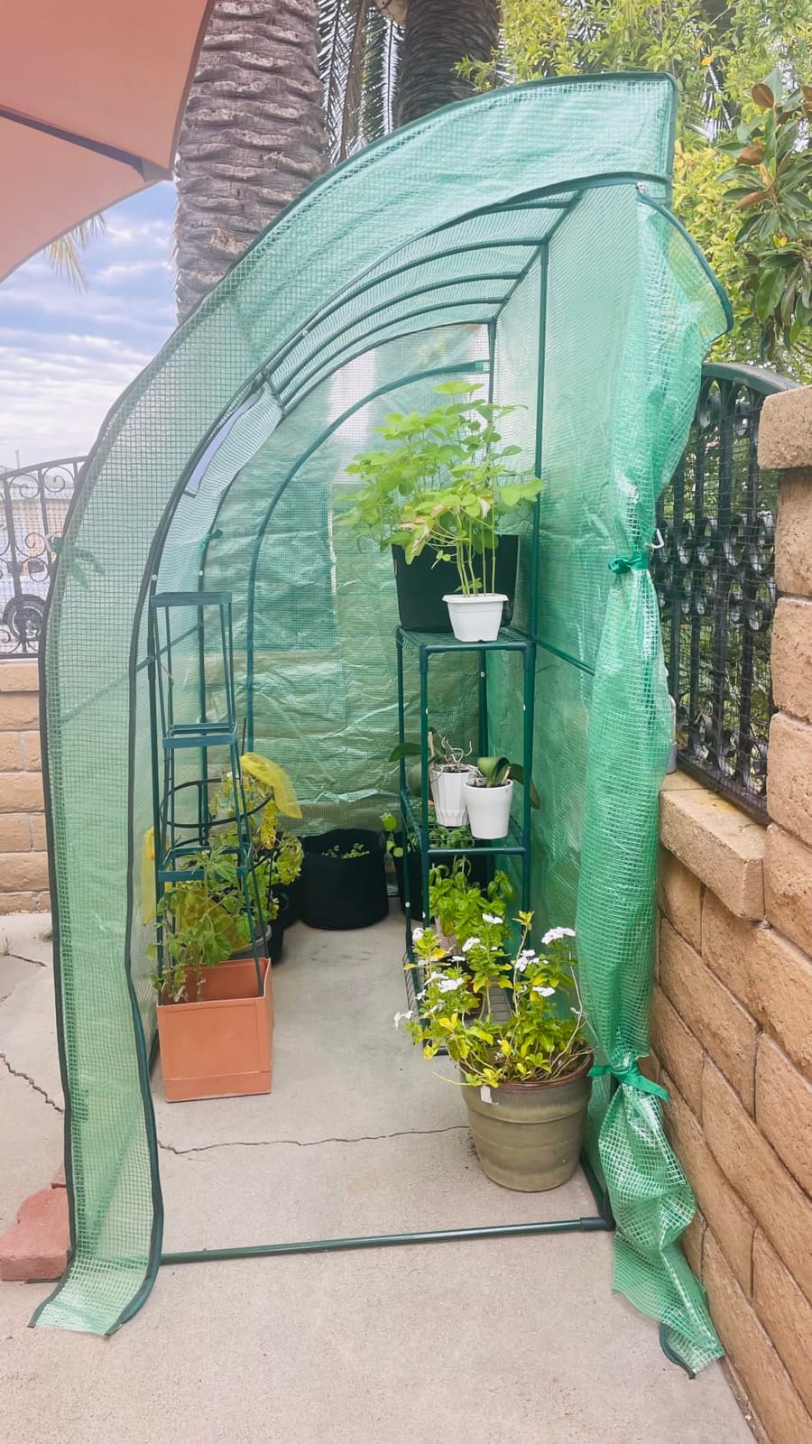 VEVOR Walk-in Tunnel Greenhouse, 10 x 7 x 7 ft Hoop House Greenhouse Tunnel with Watering System, Plant Hot House with Steel Frame, PE Cover, Roll-Up Zipper Door and 6 Windows for Outdoors, Green customer photo 2