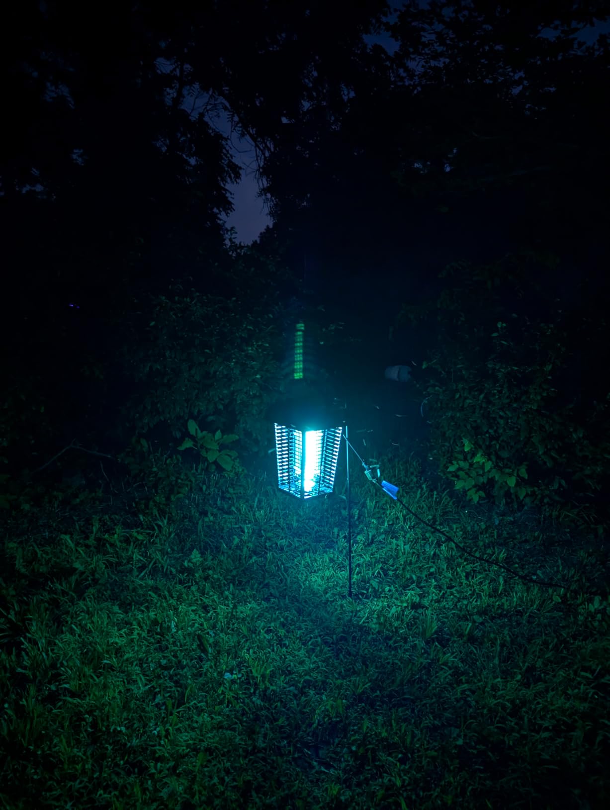 Flowtron Bug Zapper, 1 Acre Outdoor, 40W UV Bulb, 5600V, Octenol Attractant customer photo 2
