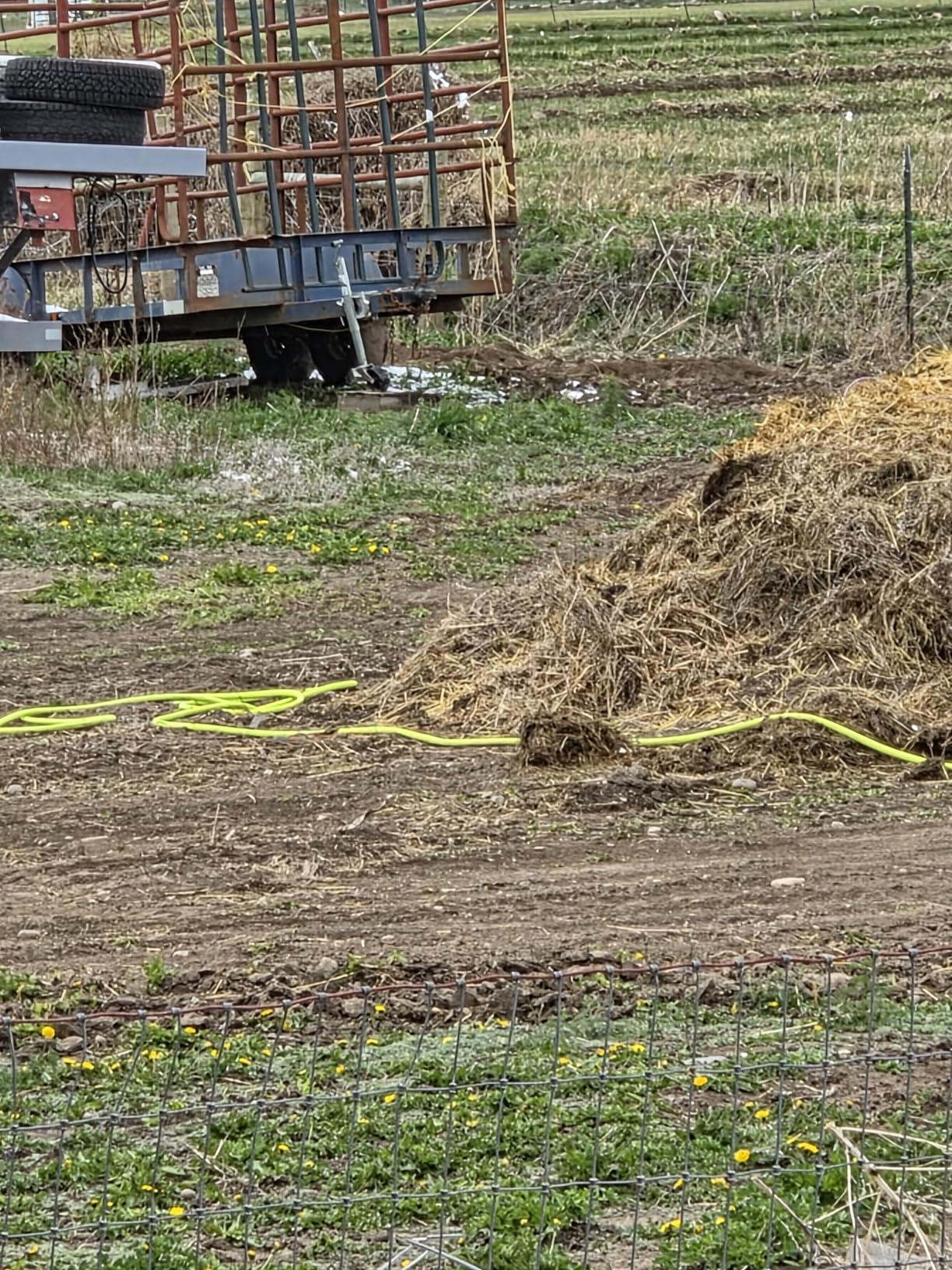 Flexzilla Garden Hose 5/8 in. x 50 ft., Lightweight All-Weather Water Hose, Durable and Flexible, Leak-Free Connections customer photo 2