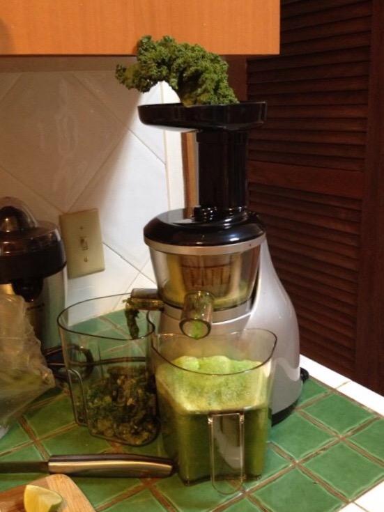 Omega VRT350 Vertical Low Speed Juicer, Silver customer photo 1