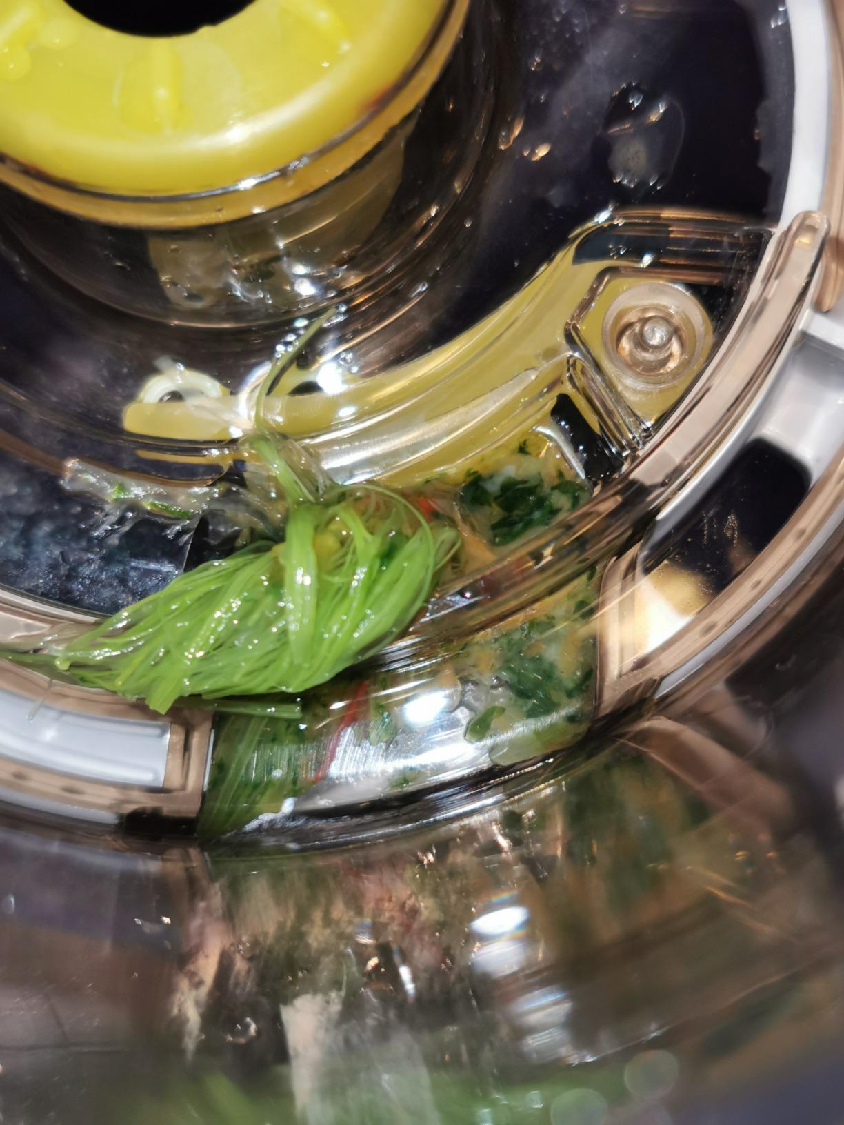 Omega VRT350 Vertical Low Speed Juicer, Silver customer photo 2