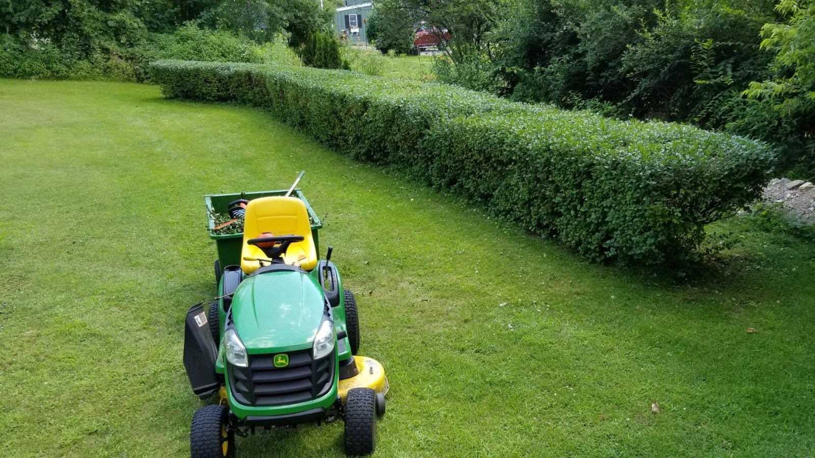 BLACK+DECKER 40V MAX Hedge Trimmer, Cordless, 24-Inch Blade, Battery and Charger Included (LHT2436) customer photo 1
