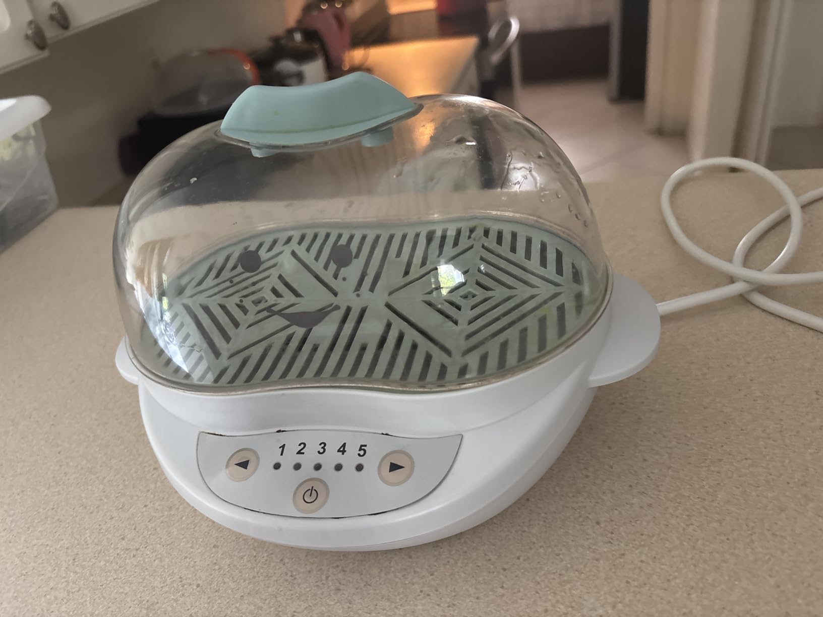 nutribullet Baby BSR-0801N Turbo Food Steamer customer photo 1