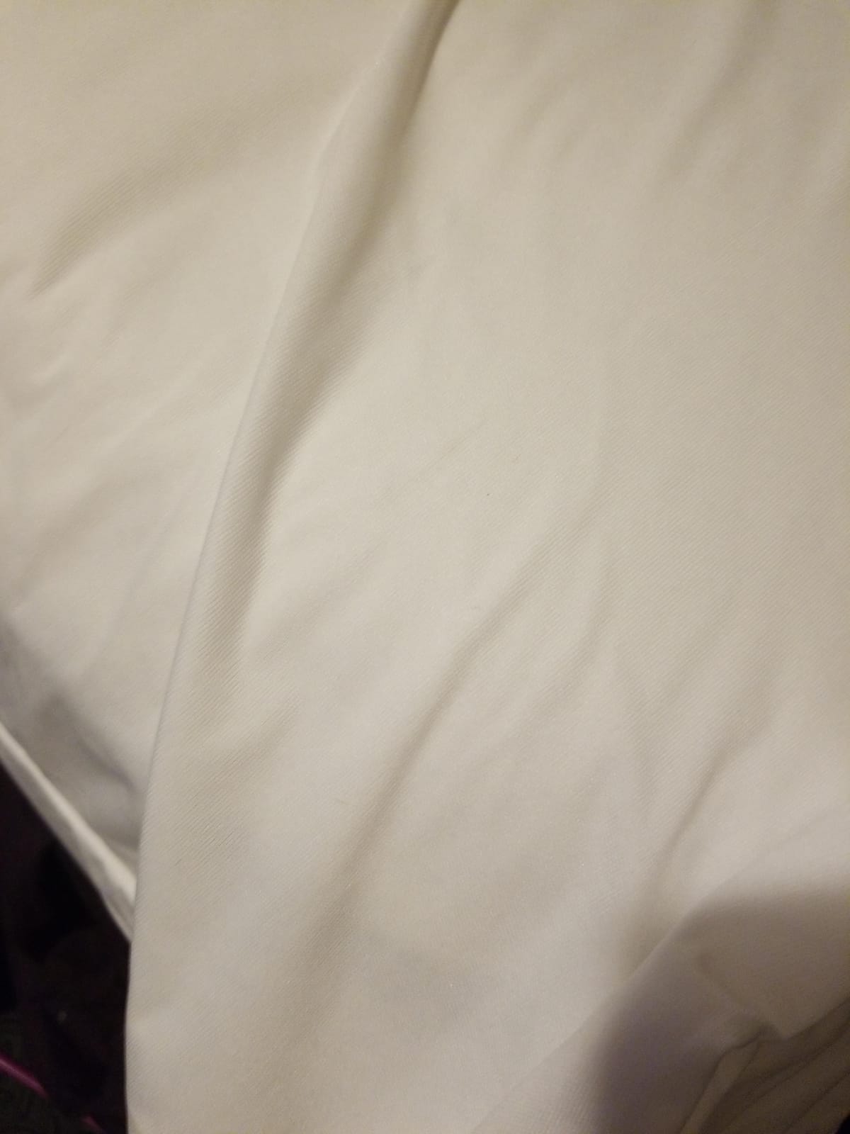 Guardmax Full Mattress Protector Zippered, Bed Bug Mattress Cover customer photo 1