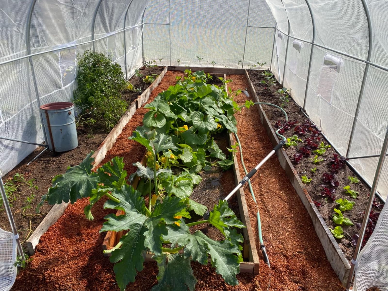Outsunny 11.5 x 10 x 6.5 ft Outdoor Walk-in Greenhouse Zippered Door Green customer photo 1