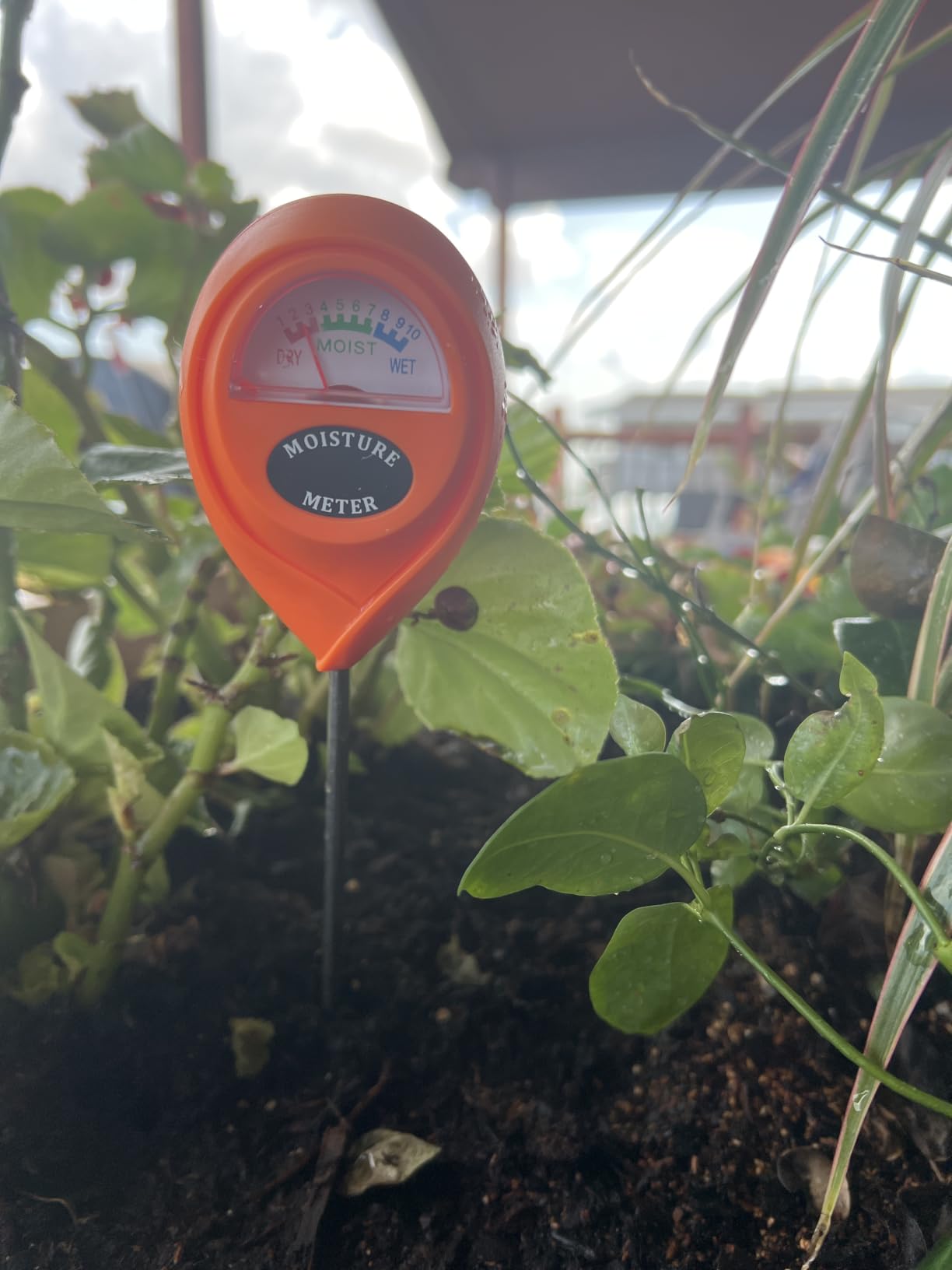 XLUX Plant Soil Moisture Meter, for Indoor and Outdoor use, Battery-Free customer photo 1