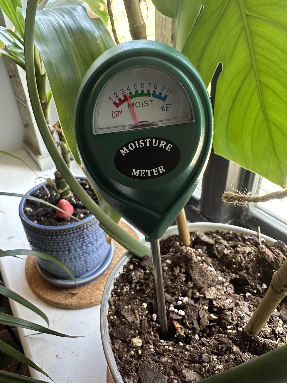 XLUX Plant Soil Moisture Meter, for Indoor and Outdoor use, Battery-Free customer photo 2