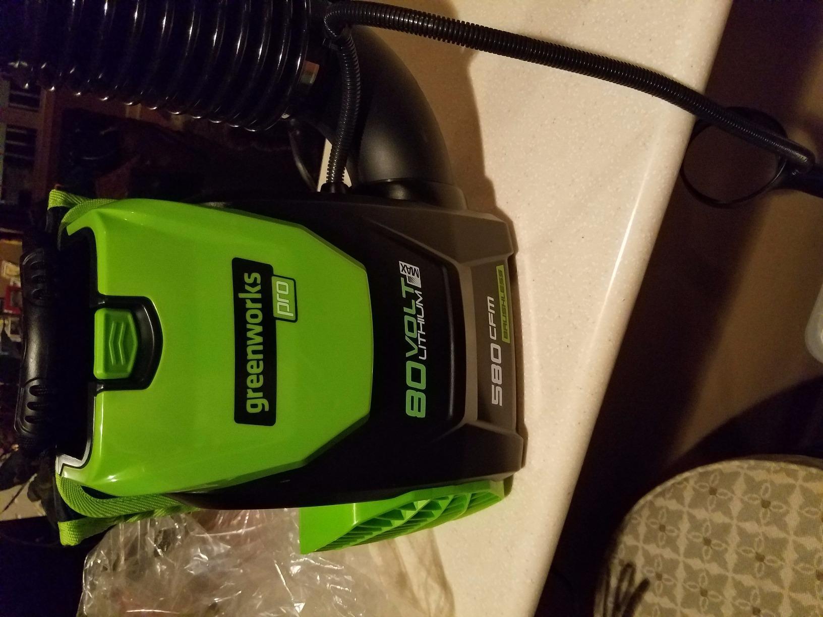 Greenworks 80V (180 MPH / 610 CFM / 75+ Compatible Tools) Cordless Brushless Backpack Blower, 2.5Ah Battery and Rapid Charger Included, Green/Black customer photo 1