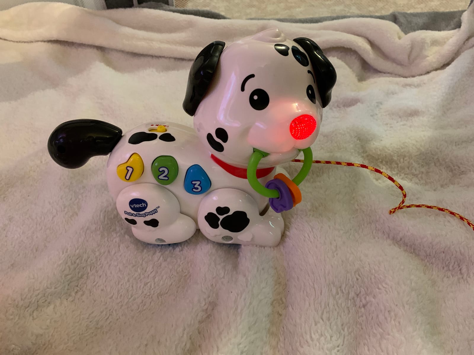 VTech Pull and Sing Puppy customer photo 2