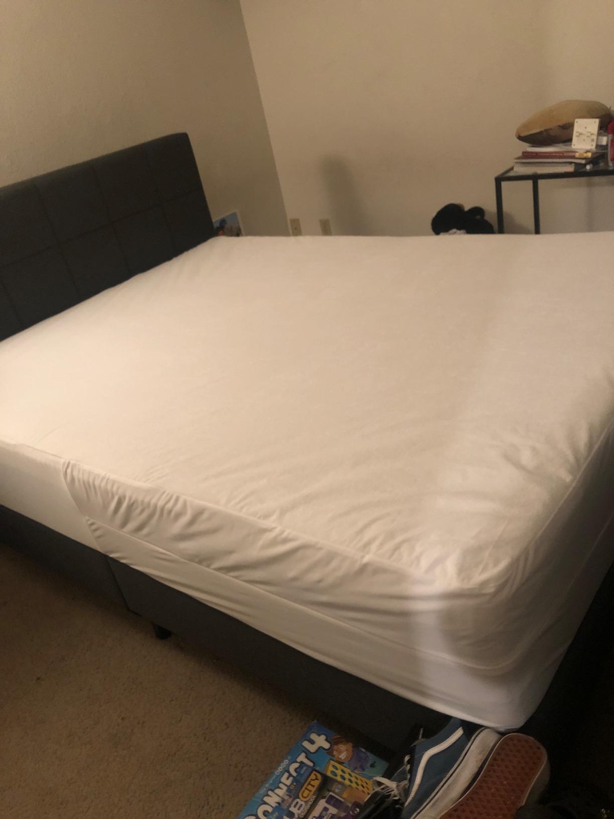 PlushDeluxe Mattress Encasement 100% Waterproof, Queen, Soft Cotton Terry customer photo 1