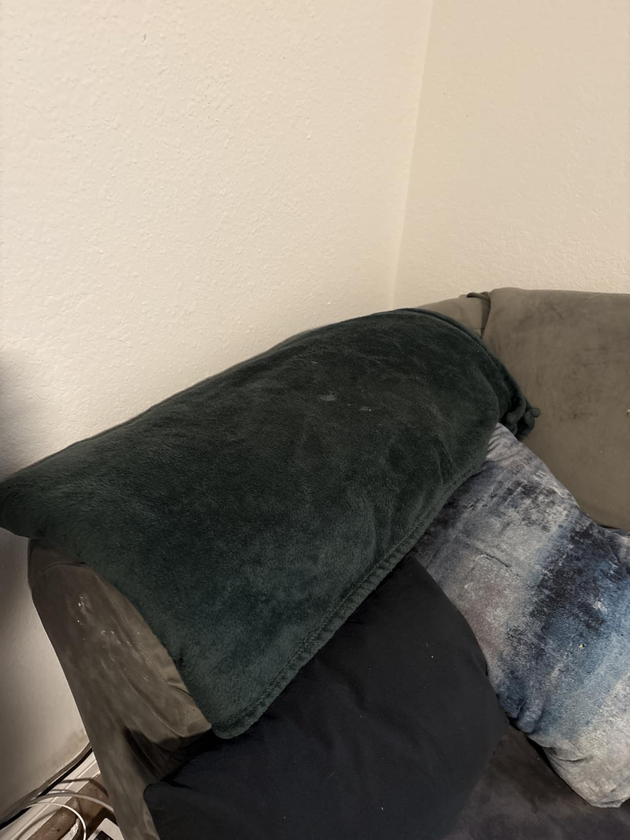 Exclusivo Mezcla Soft Large Fleece Throw Blanket for Couch, Forest Green customer photo 1