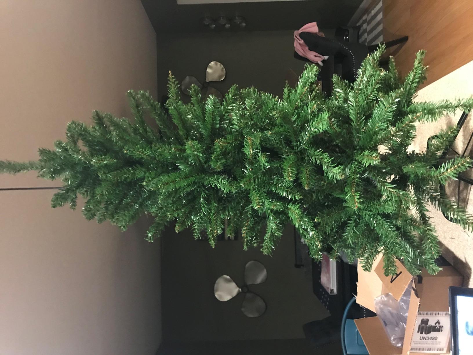 National Tree Company 4ft Unlit Kingswood Fir Mini Slim Christmas Tree | 269 Tips, Includes Stand, Artificial, Green customer photo 2