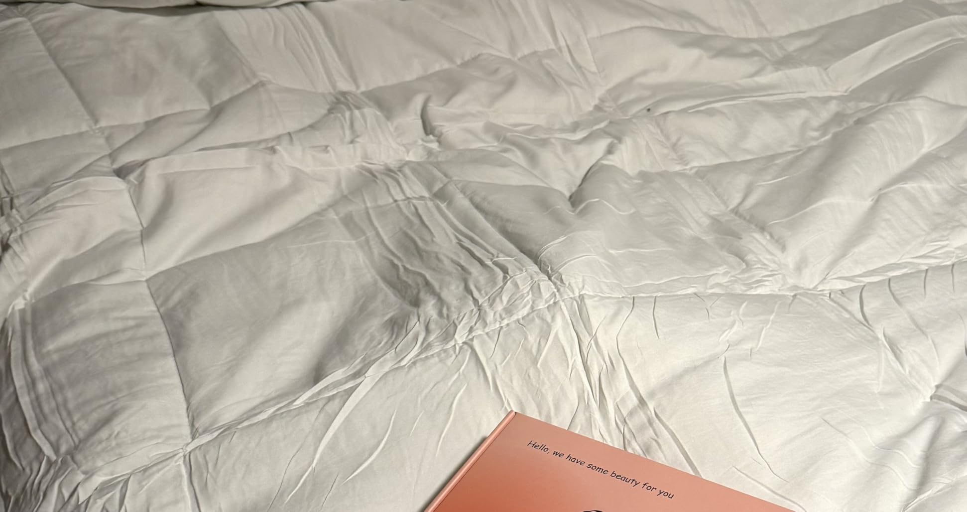 Bare Home Queen Comforter Set - 1800 Ultra Soft (Queen, Light Grey) customer photo 2