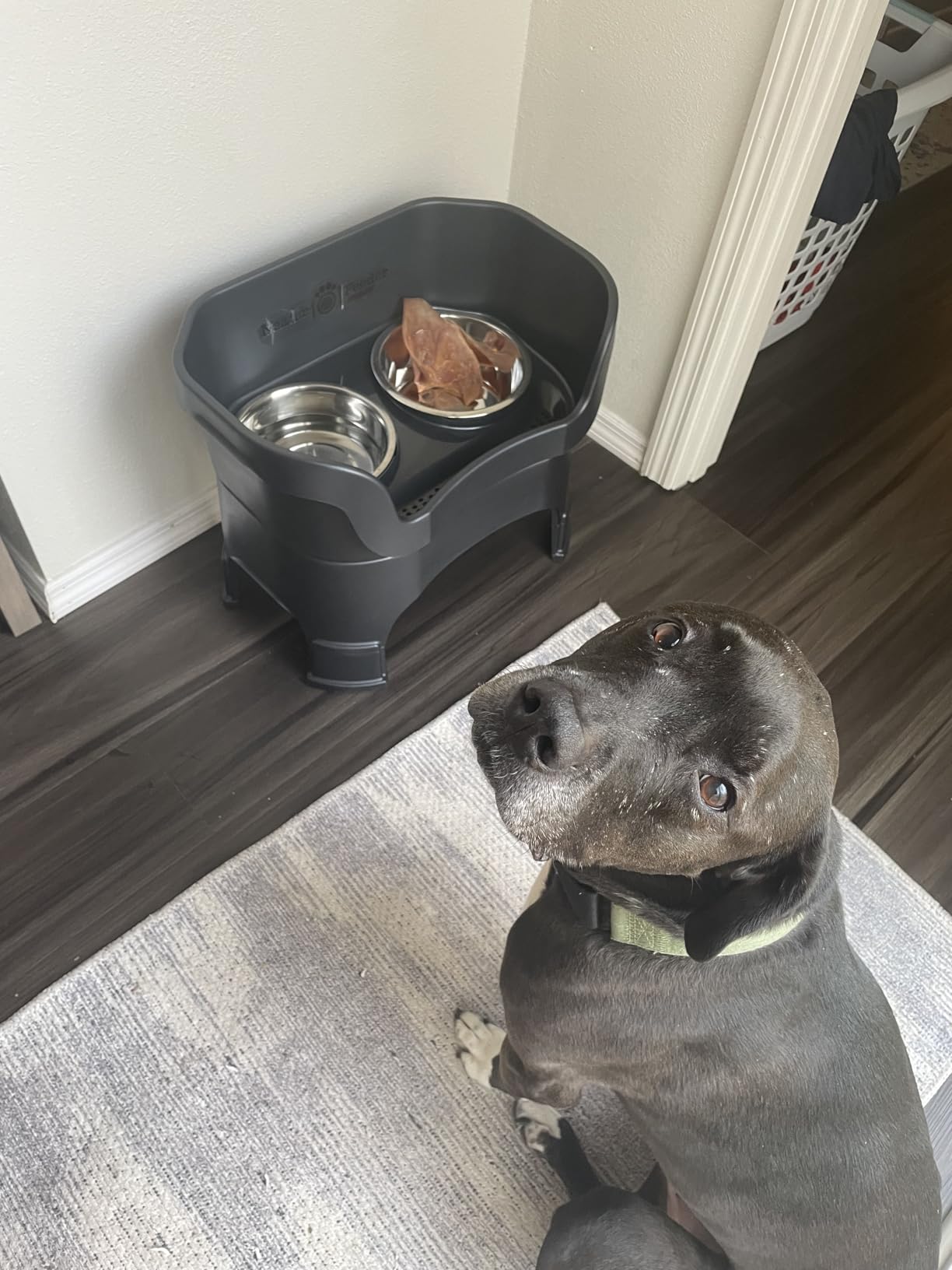 Neater Feeder Deluxe Mess-Proof Elevated Dog Bowls for Large Dogs (40+ lbs), 2 Height Adjustable (14.5” & 17.5”) No-Spill Raised Dog Bowl Stand, Stainless Steel Food Bowl Set, Made in USA, Black customer photo 1
