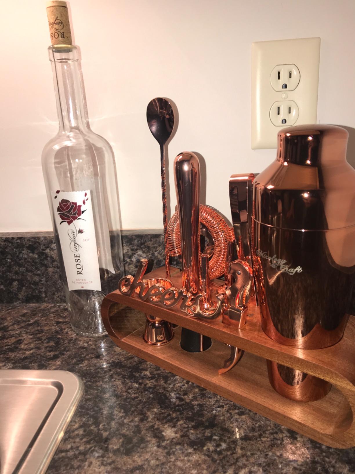 Mixology Cocktail Shaker Set - 10-Piece Cocktail Making Set - Home Bartender Kit in Bamboo Stand with Spoon, Boston Shaker, Other Tools for Drink Mixing, Martini, Mocktail - Gift Set (Silver) customer photo 2