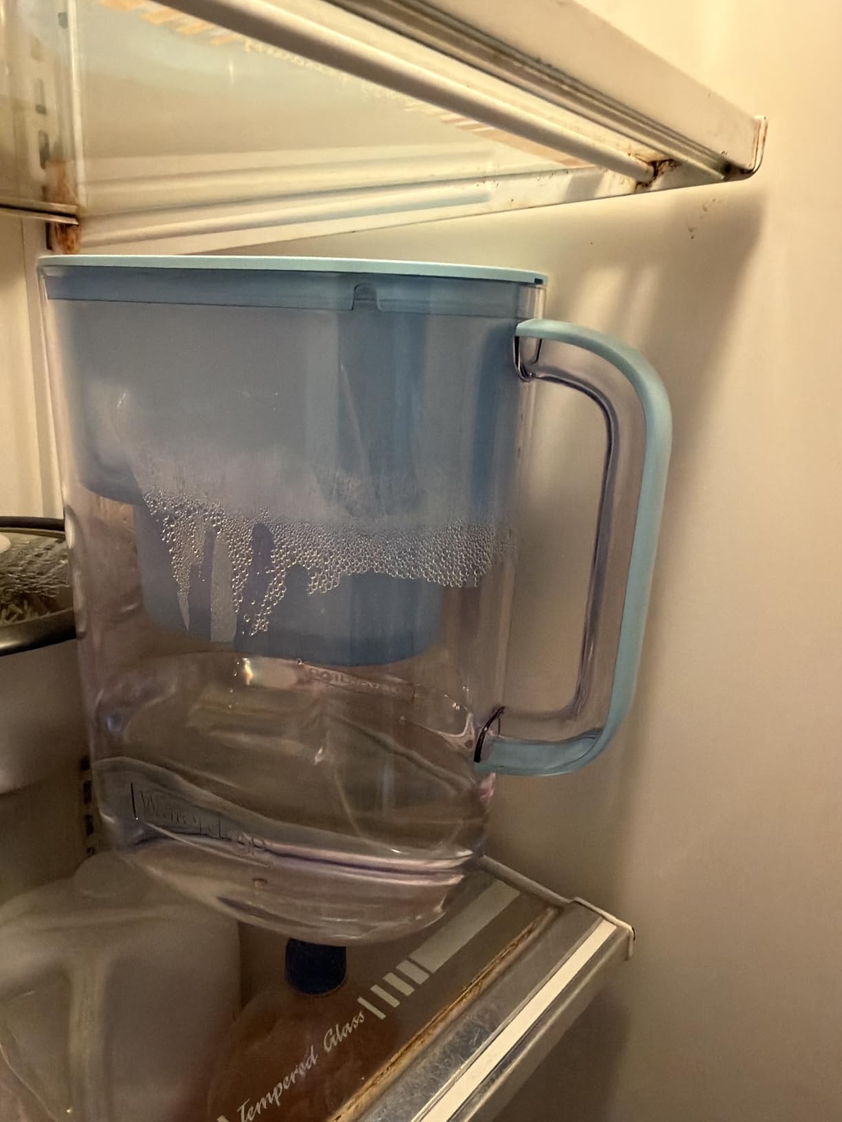 Waterdrop PT-07B Water Filter Pitcher, 10-Cup, NSF Certified, Blue customer photo 2