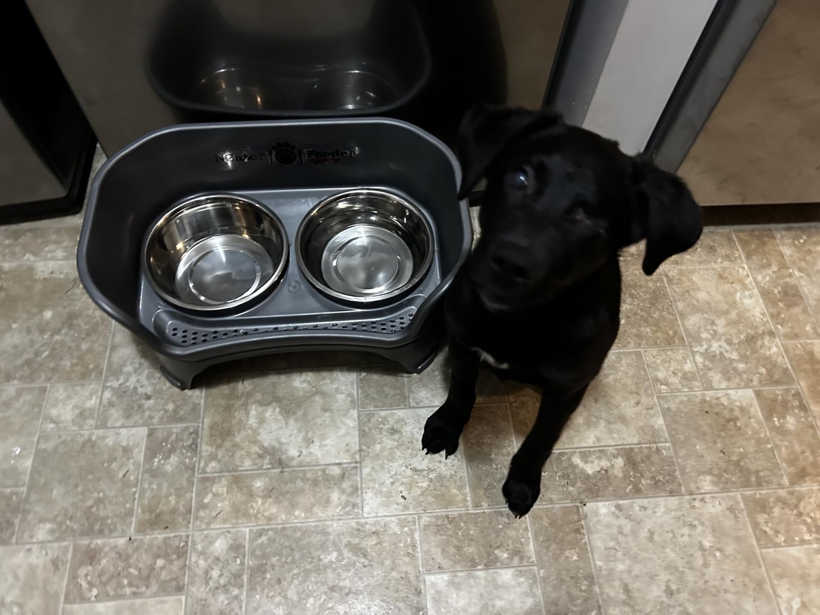 Neater Feeder Express Mess Proof Dog Bowls Elevated for Medium to Large Sized Breed, No Spill Raised Dog Food Bowl Stand, Stainless Steel Food and Water Bowl Set, Pet Dish Feeding Station, Grey customer photo 1