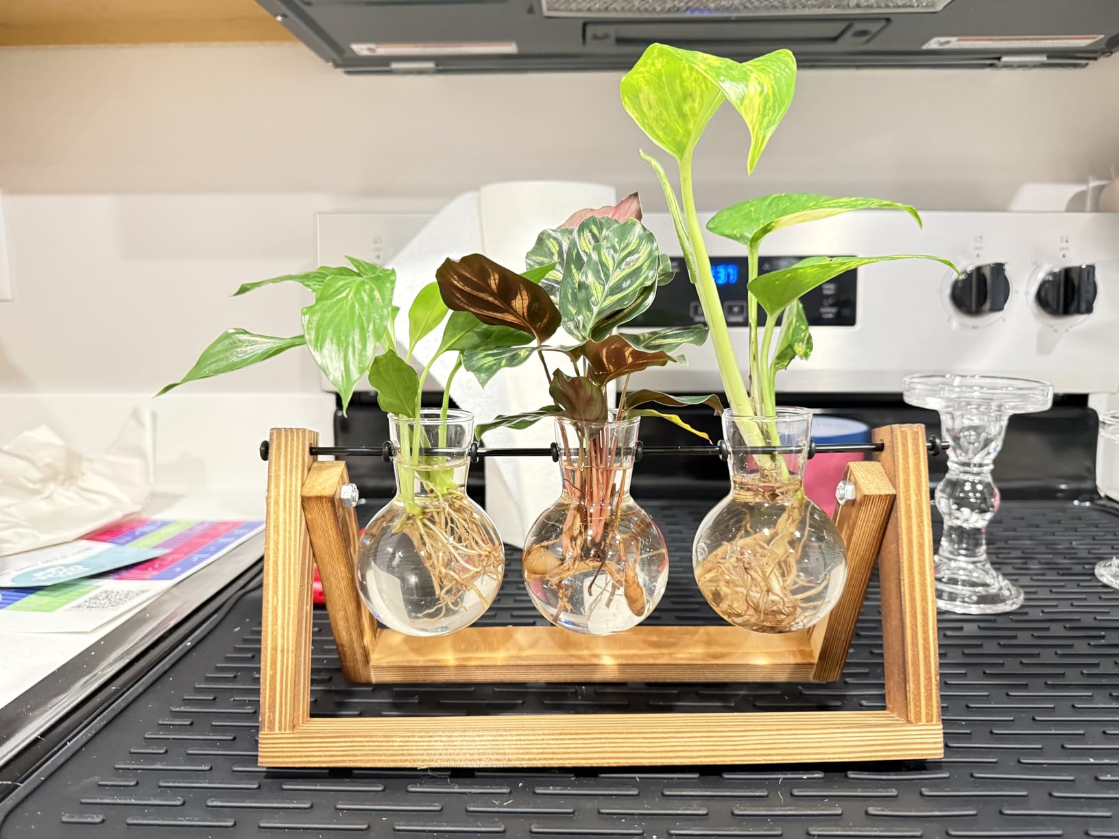 XXXFLOWER Plant Terrarium with Wooden Stand, Air Planter Bulb Glass Vase Metal Swivel Holder Retro Tabletop for Hydroponics Home Garden Office Decoration - 3 Bulb Vase customer photo 2
