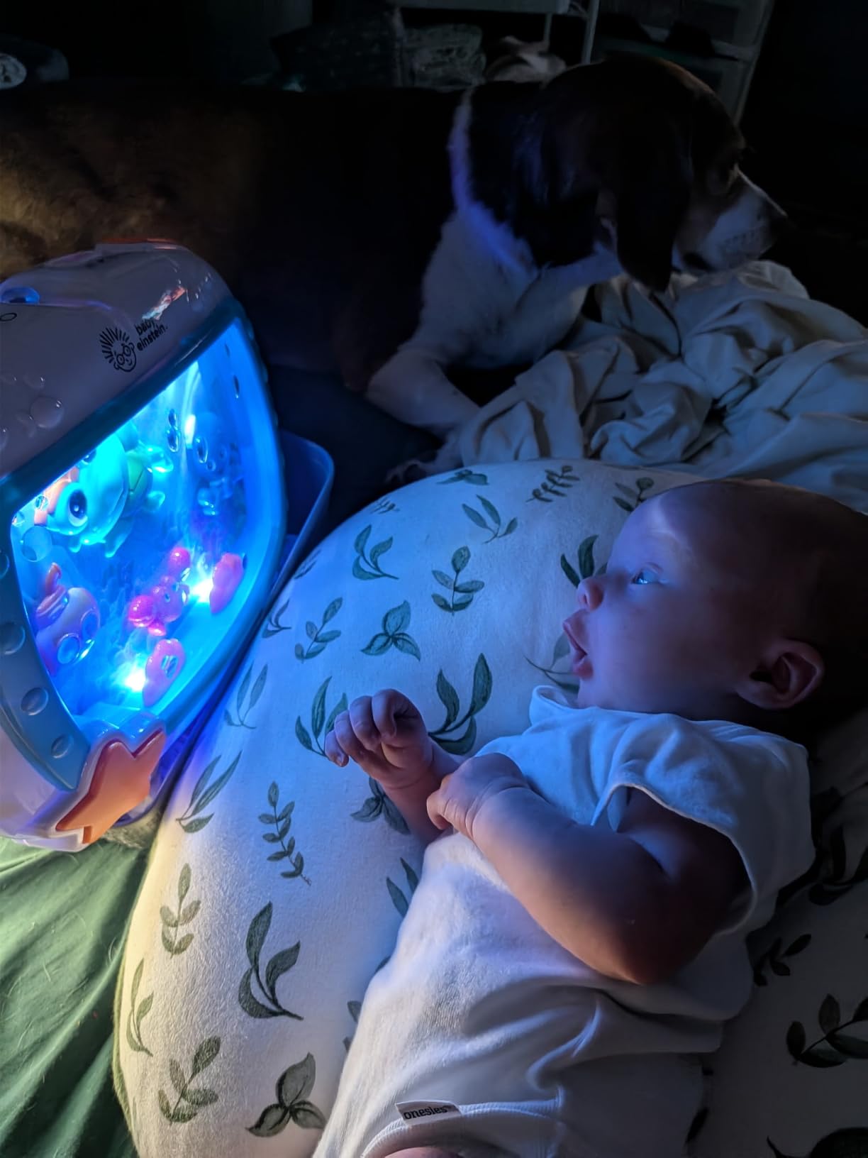 Baby Einstein Sea Dreams Soother Musical Crib Toy and Sound Machine, Newborn and up customer photo 2