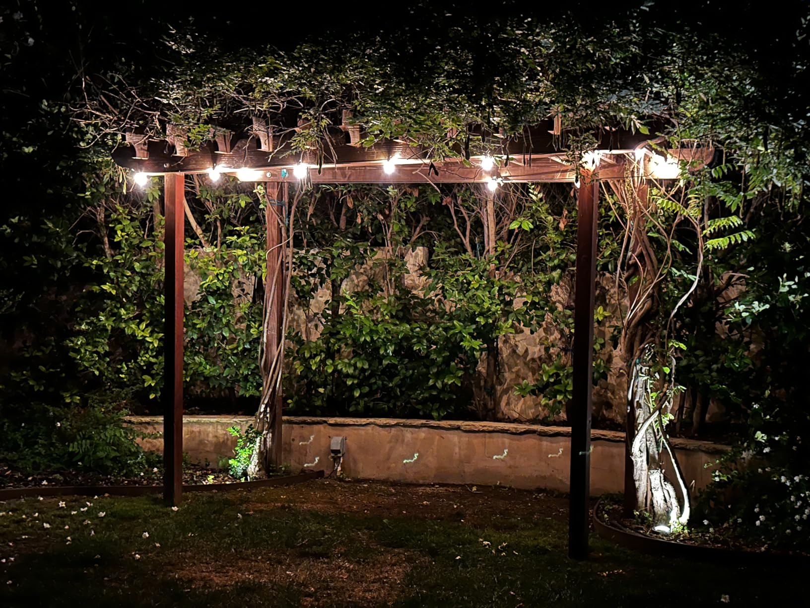Brightown Outdoor String Lights, 69FT G40 LED IP65 Waterproof Patio Lights customer photo 2