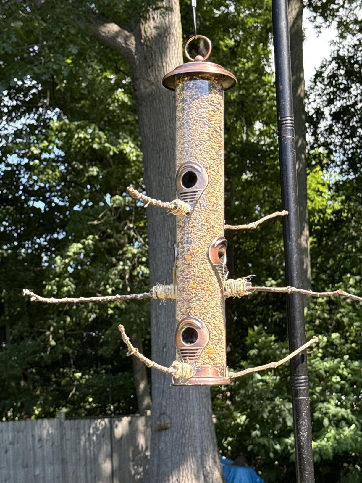 Gray Bunny Squirrel Proof Bird Feeders for Outdoors 6 Port Metal Tube customer photo 2