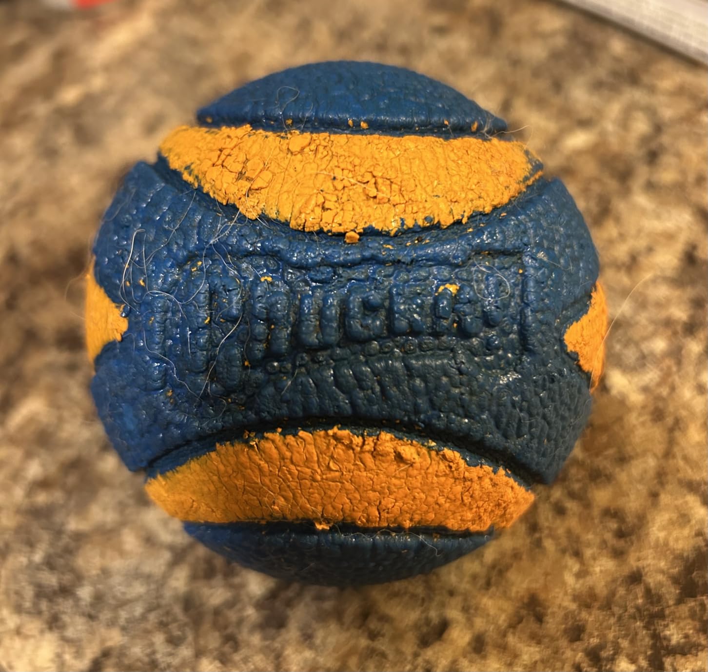Chuckit! Ultra Fetch Stick Interactive Dog Toy, 12in, All Breeds customer photo 2