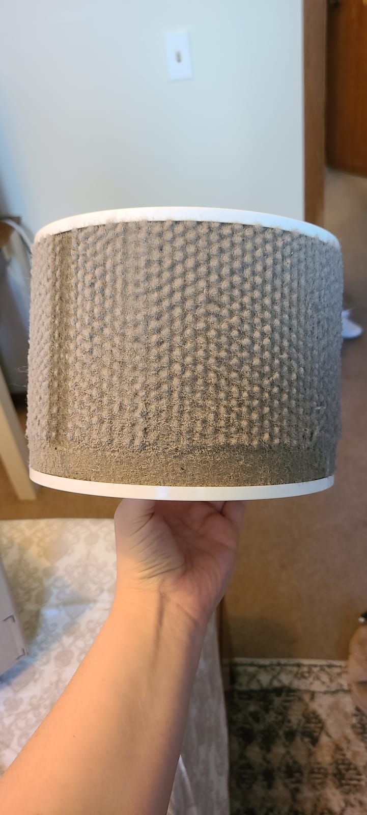 Levoit Air Purifier for Home Pets, Large Room Bedroom, AHAM VERIFIDE | HEPA Sleep Mode, Efficient Filter for Pet Dander, Odors, Captures Smoke, Dust, Pollen, Pet Lock, Core P350-P, Grey customer photo 1