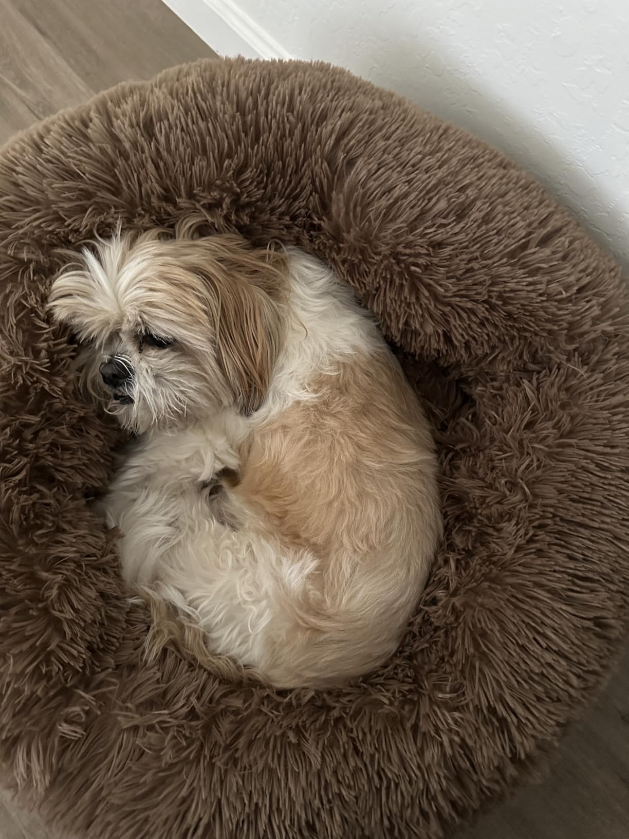 MIXJOY Orthopedic Dog Bed Comfortable Donut Cuddler Round Pet Beds Ultra Soft Washable Dog and Cat Cushion Bed (20''/23''/30'') (30'', Brown) customer photo 1